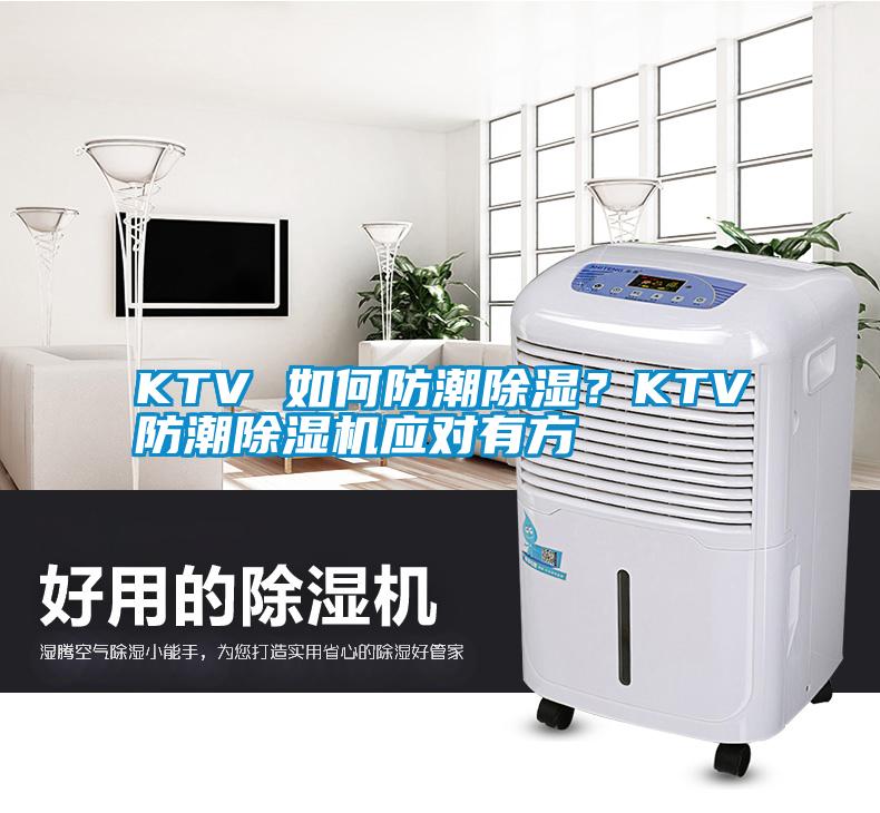 KTV 如何防潮除濕？KTV防潮草莓视频下载网址應對有方