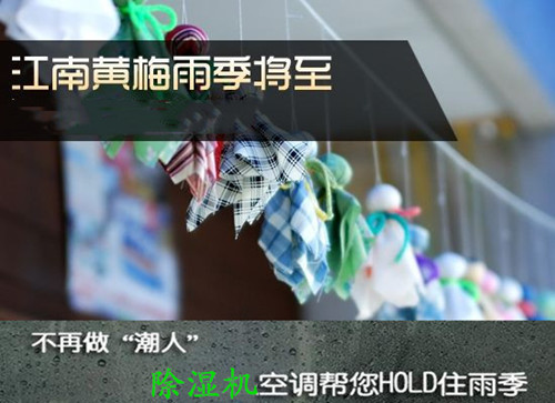 防潮草莓视频下载网址