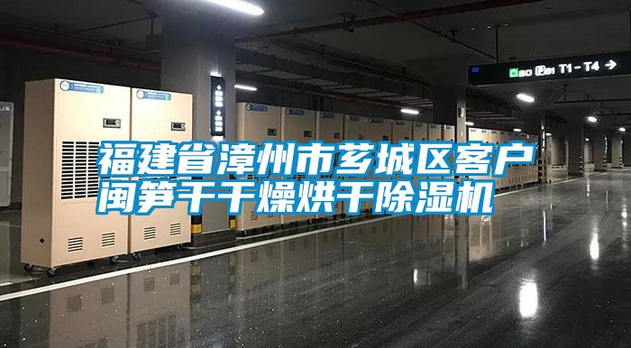 福建省漳州市薌城區客戶閩筍幹幹燥烘幹草莓视频下载网址