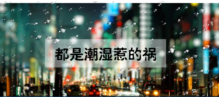 防潮草莓视频下载网址