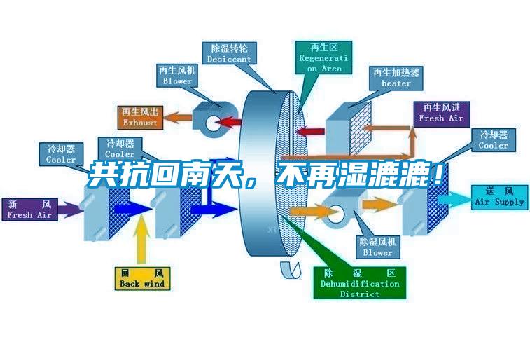 共抗回南天，不再濕漉漉！