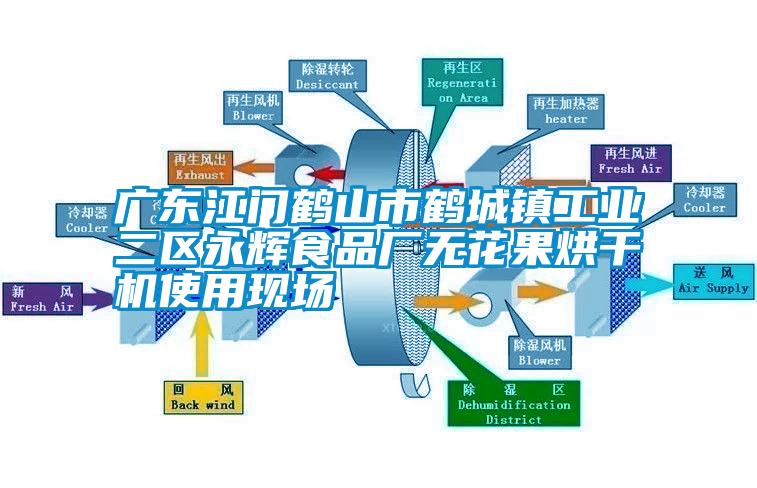 廣東江門鶴山市鶴城鎮工業二區永輝食品廠無花果烘幹機使用現場