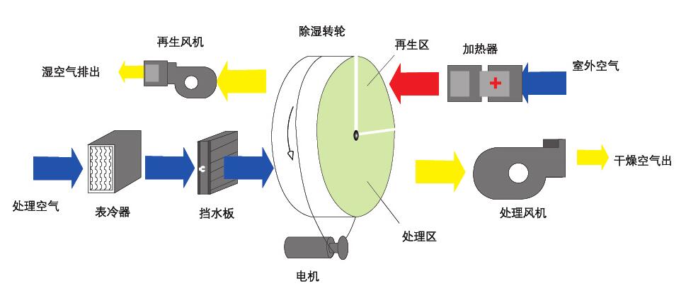 轉輪草莓视频下载网址原理