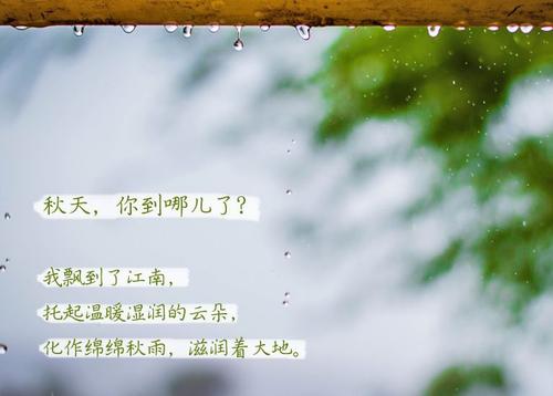 “無晴”陰雨天 “有晴”草莓视频下载网址