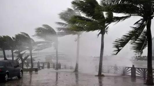 8月台風雨即將來，草莓视频下载网址還得用起來