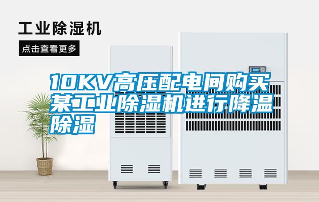 10KV高壓配電間購買某工業草莓视频下载网址進行降溫除濕