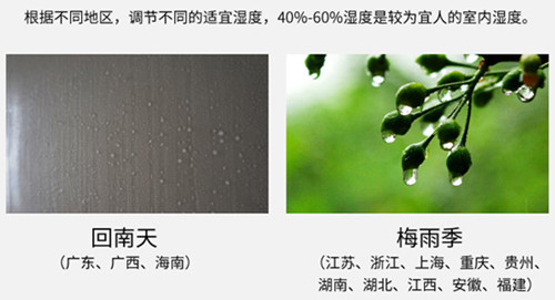 防潮草莓视频下载网址