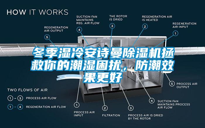 冬季濕冷草莓视频污在线观看草莓视频下载网址拯救你的潮濕困擾，防潮效果更好