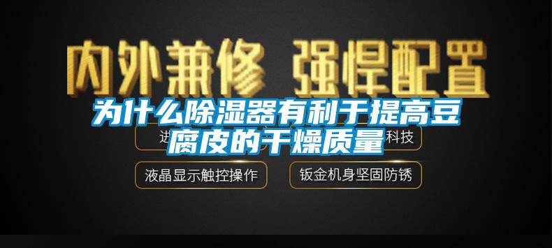 為什麽除濕器有利於提高豆腐皮的幹燥質量