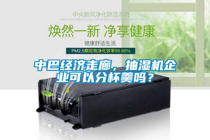 中巴經濟走廊，抽濕機企業可以分杯羹嗎？