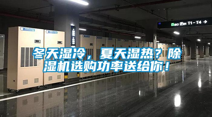 冬天濕冷，夏天濕熱？草莓视频下载网址選購功率送給你！