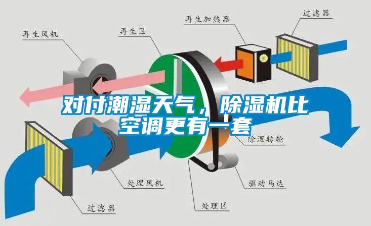 對付潮濕天氣，草莓视频下载网址比空調更有一套