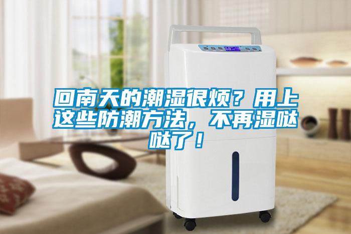 回南天的潮濕很煩？用上這些防潮方法，不再濕噠噠了！