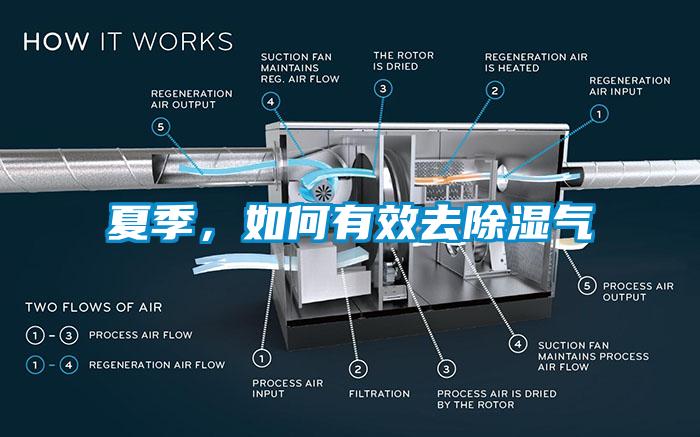 夏季，如何有效去除濕氣