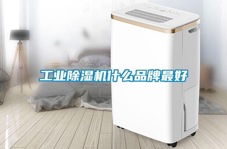 工業草莓视频下载网址什麽品牌最好