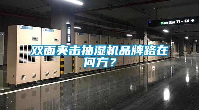 雙麵夾擊抽濕機品牌路在何方？