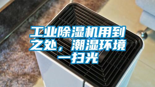 工業草莓视频下载网址用到之處，潮濕環境一掃光