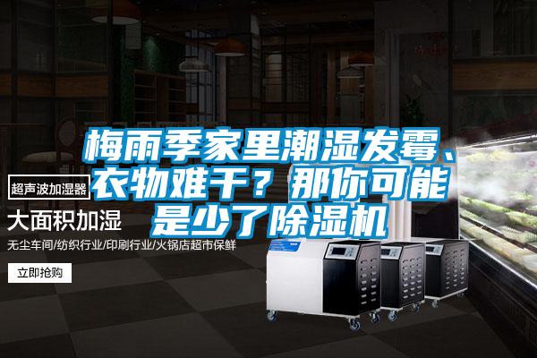 梅雨季家裏潮濕發黴、衣物難幹？那你可能是少了草莓视频下载网址