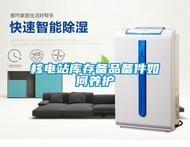 核電站庫存備品備件如何養護