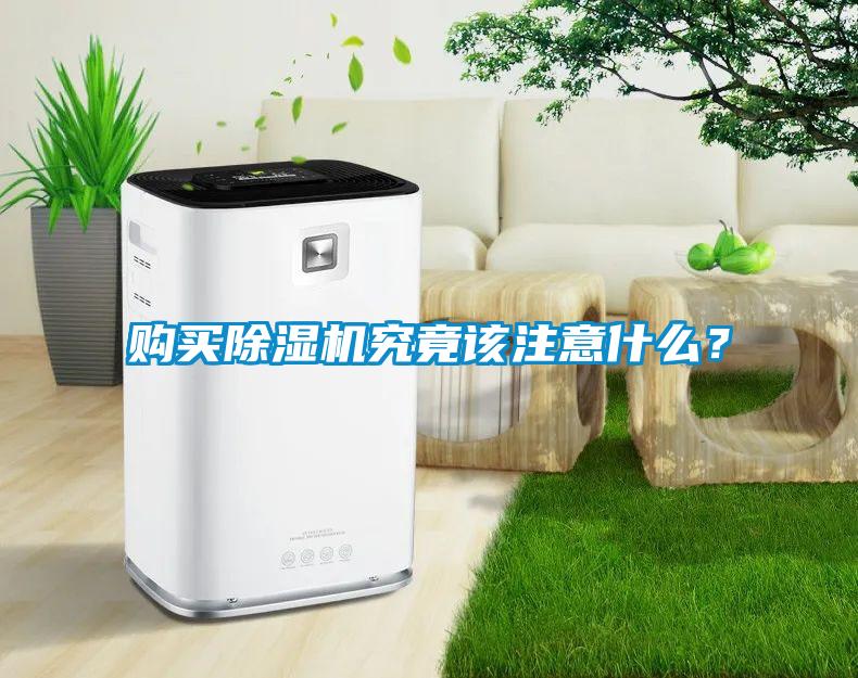 購買草莓视频下载网址究竟該注意什麽？