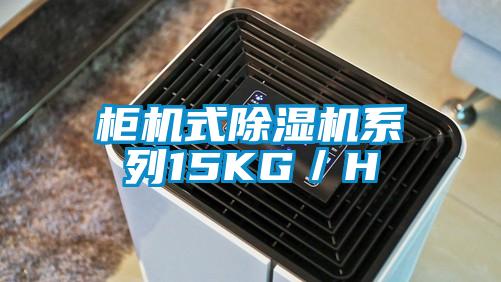 櫃機式草莓视频下载网址係列15KG／H