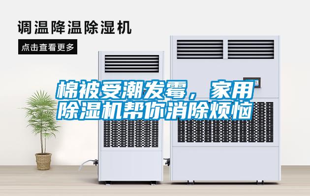 棉被受潮發黴，家用草莓视频下载网址幫你消除煩惱
