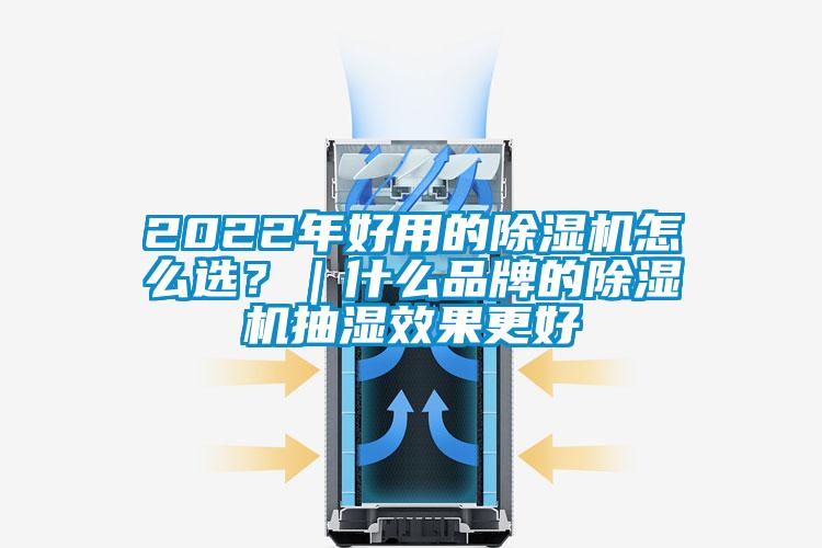 2022年好用的草莓视频下载网址怎麽選？｜什麽品牌的草莓视频下载网址抽濕效果更好