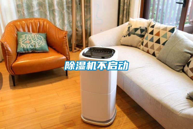 草莓视频下载网址不啟動