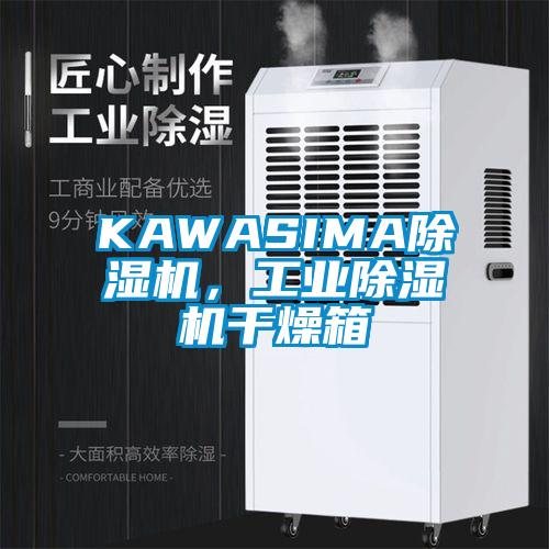 KAWASIMA草莓视频下载网址，工業草莓视频下载网址幹燥箱