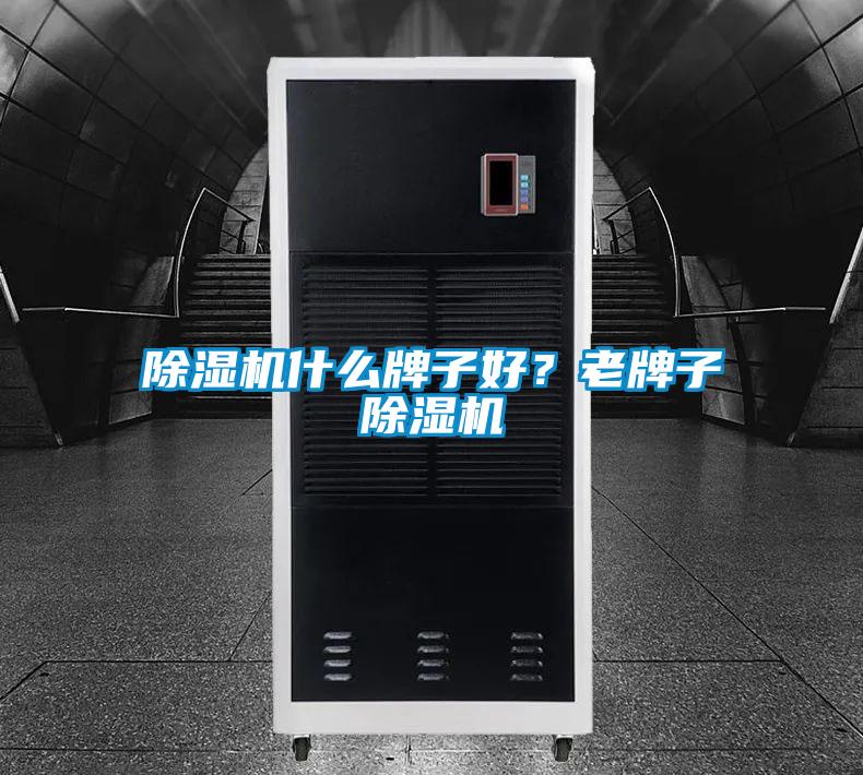 草莓视频下载网址什麽牌子好？老牌子草莓视频下载网址