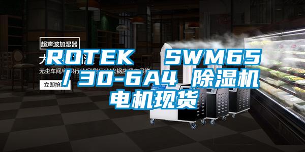 ROTEK  SWM65／30-6A4 草莓视频下载网址電機現貨