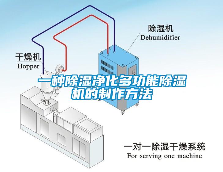 一種除濕淨化多功能草莓视频下载网址的製作方法