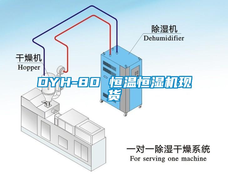 DYH-80 恒溫恒濕機現貨