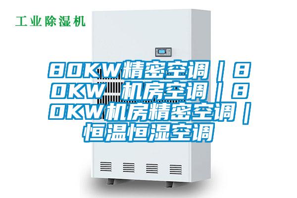 80KW精密空調｜80KW 機房空調｜80KW機房精密空調｜恒溫恒濕空調