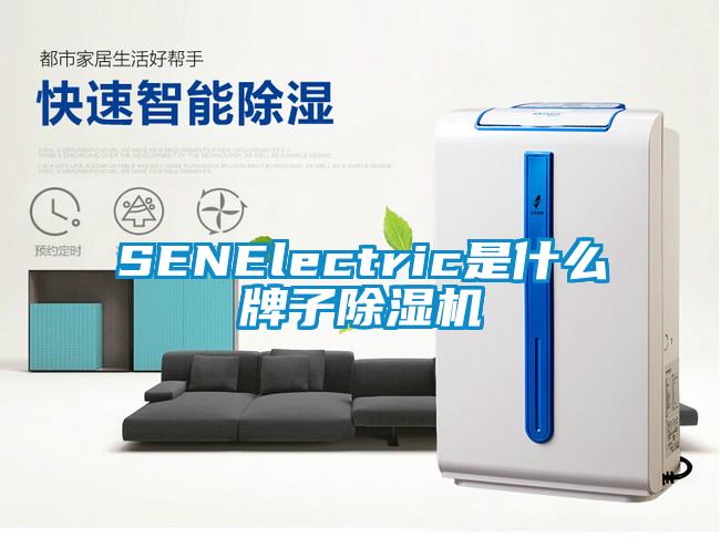 SENElectric是什麽牌子草莓视频下载网址