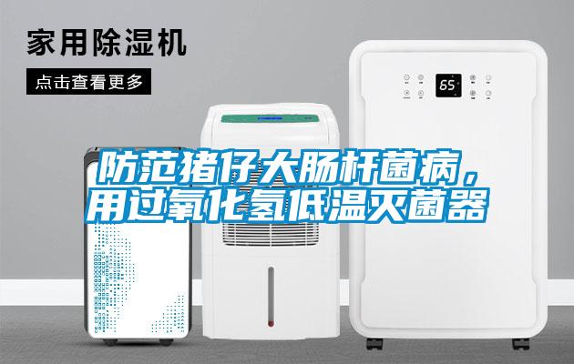 防範豬仔大腸杆菌病，用過氧化氫低溫滅菌器