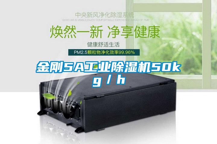 金剛5A工業草莓视频下载网址50kg／h