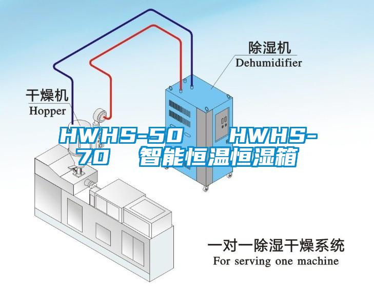 HWHS-50   HWHS-70  智能恒溫恒濕箱