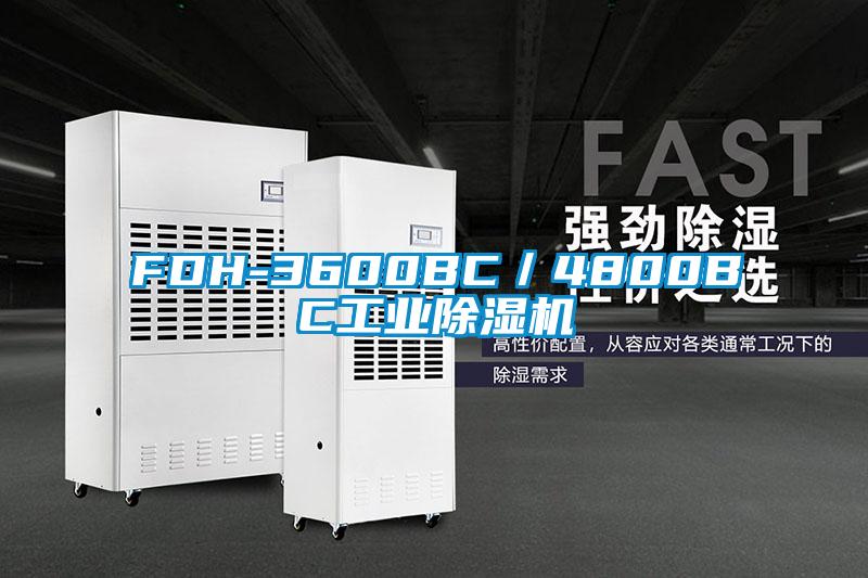 FDH-3600BC／4800BC工業草莓视频下载网址