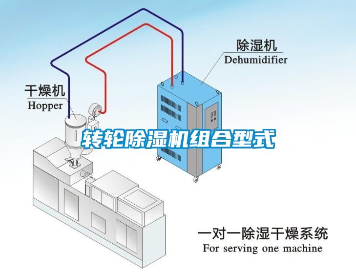 轉輪草莓视频下载网址組合型式