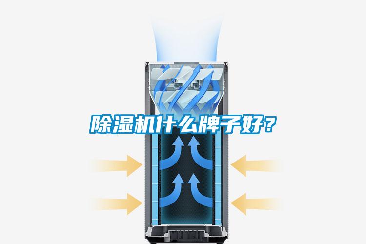 草莓视频下载网址什麽牌子好？