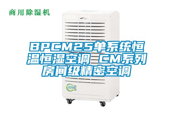 BPCM25單係統恒溫恒濕空調 CM係列房間級精密空調