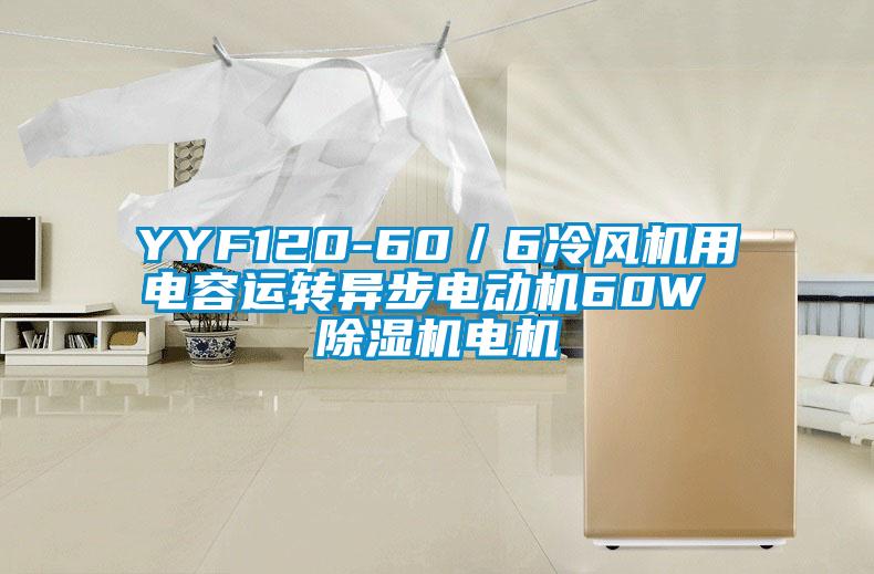 YYF120-60／6冷風機用電容運轉異步電動機60W 草莓视频下载网址電機