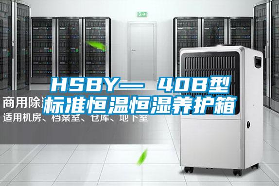 HSBY— 40B型標準恒溫恒濕養護箱