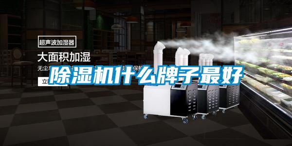 草莓视频下载网址什麽牌子最好