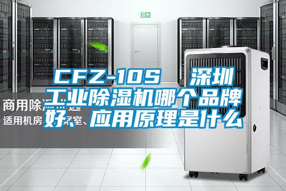 CFZ-10S  深圳工業草莓视频下载网址哪個品牌好、應用原理是什麽