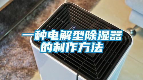 一種電解型除濕器的製作方法