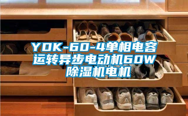 YDK-60-4單相電容運轉異步電動機60W 草莓视频下载网址電機