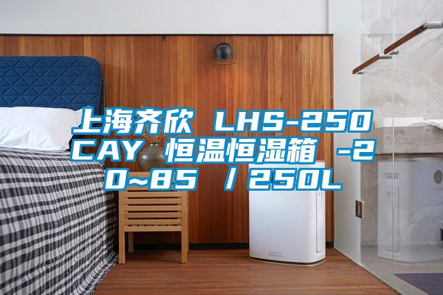 上海齊欣 LHS-250CAY 恒溫恒濕箱 -20~85℃／250L