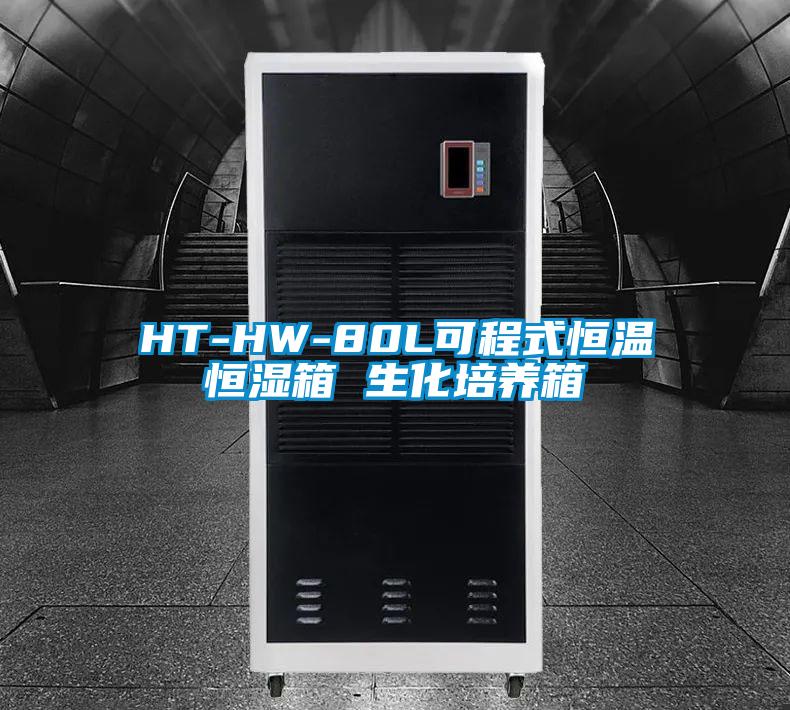 HT-HW-80L可程式恒溫恒濕箱 生化培養箱